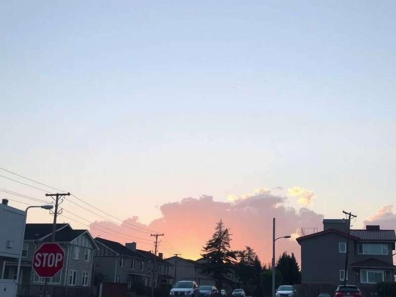 2024年数字营销趋势